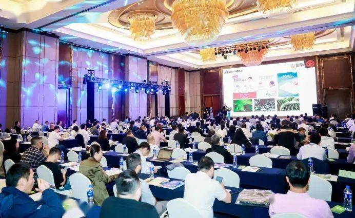 1724040861134461.jpeg 3.jpeg